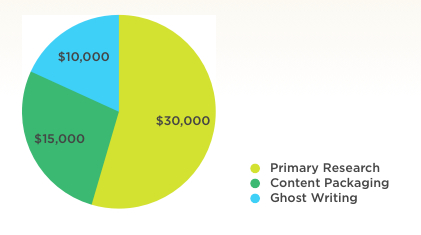 Pie Chart: Content Development and Packaging Budget Allocation