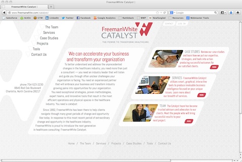 FreemanWhite Catalyst -- Healthcare Consulting Practice